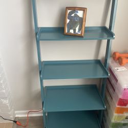 Must Go! Blue Ladder Bookshelf