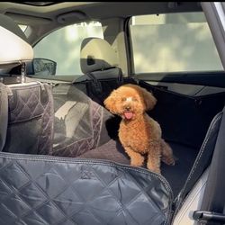 Brand sNew- Dog Car seat- I just made a video for this and put it back in its box