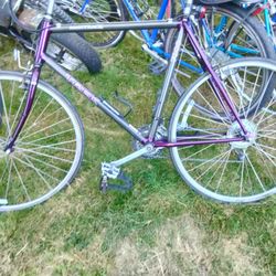 Trek 7900 Carbon Fiber Beautiful Bike