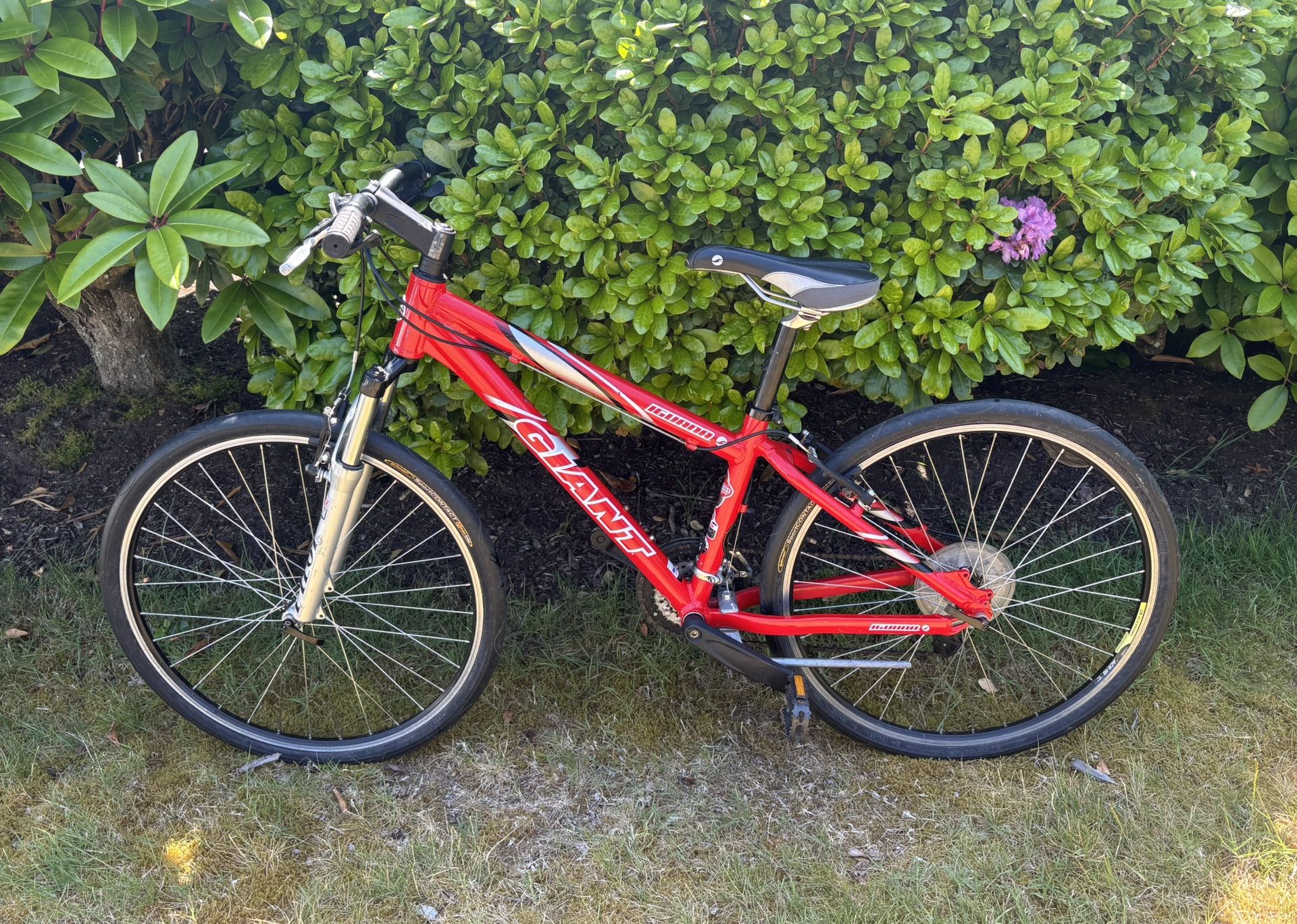 Giant Iguana Mountain Bike