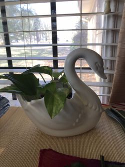 Vintage Planters With Pothos Ivy