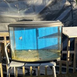 36 Gallon Bow Front Fish Tank 