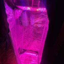 Grow Tent 