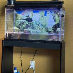 Aquarium 
