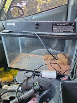 Tararium Aquarium