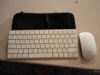 Cordless Mouse N Key Board APPLE + Carrying Case