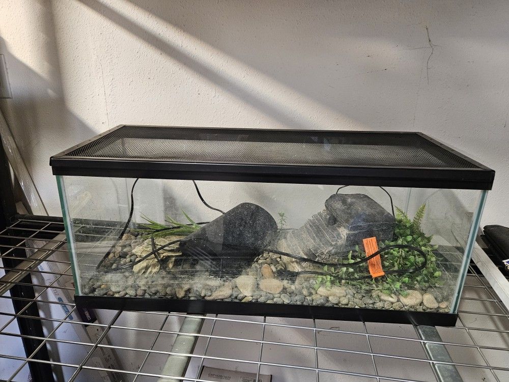 Tank For Turtle /Lizard 