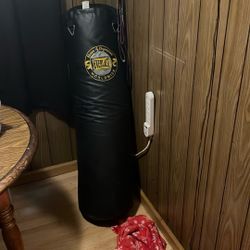 Everlast Punching Bag 