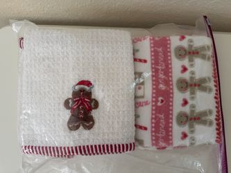 Set of 6 Storehouse Gingerbread Holiday Kitchen Towels – Like New, Made in Turkey