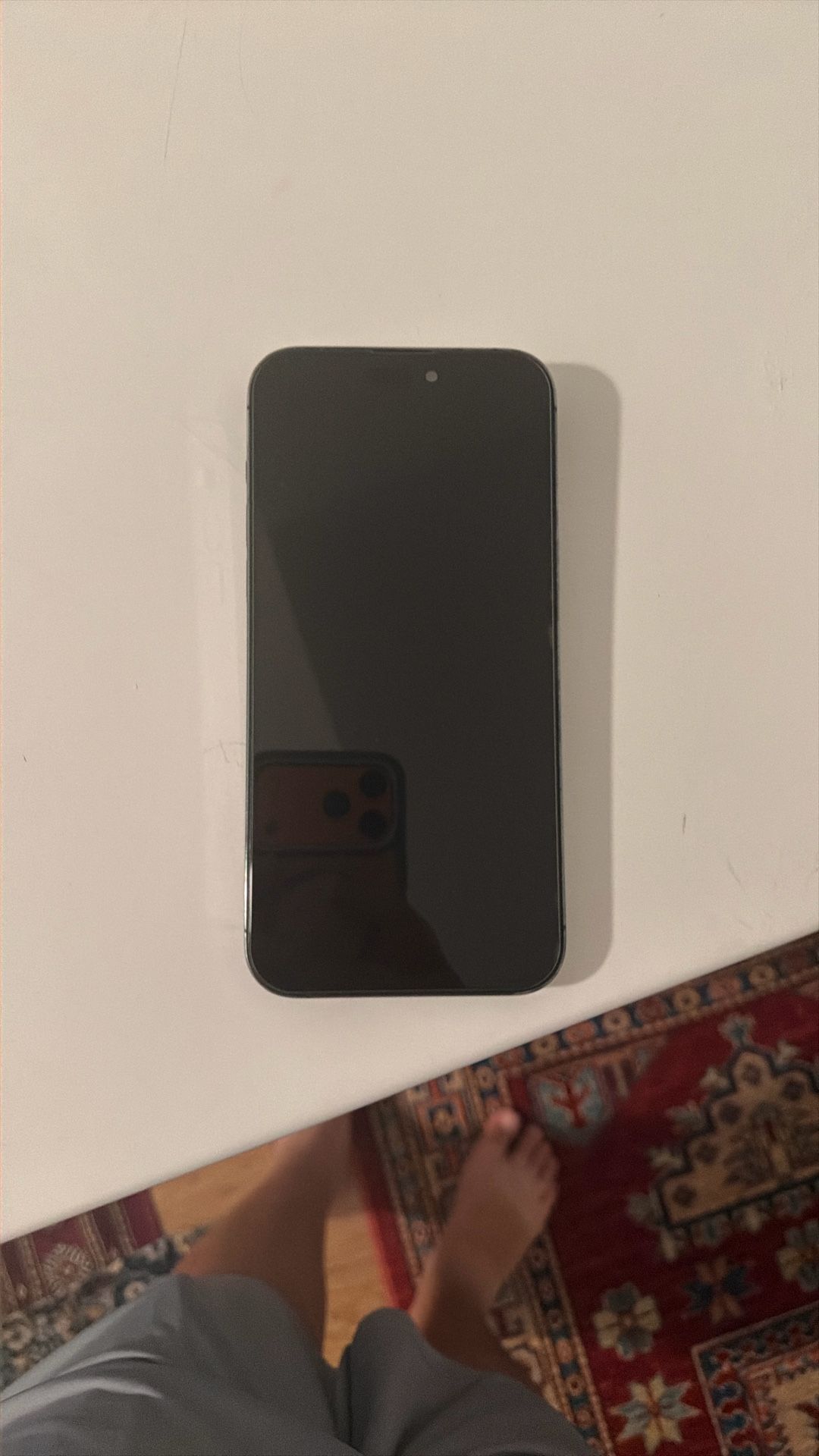 iPhone 14 Pro Max