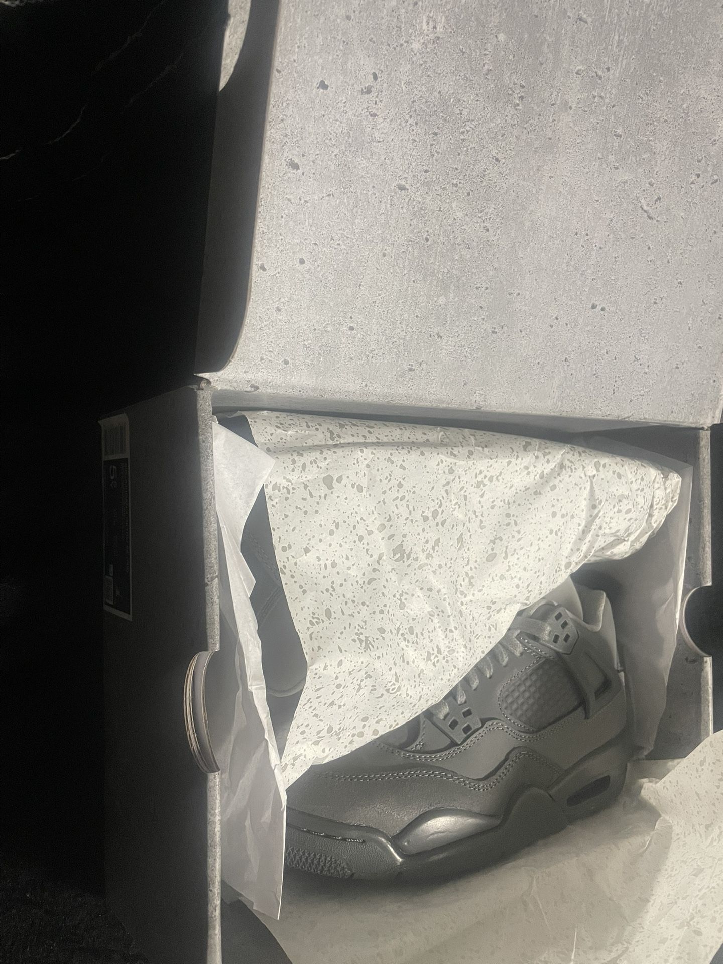 Jordan 4s NEW Wet Cement 5.5y