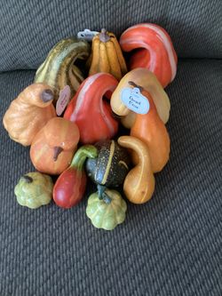 13 Decorative Gourds