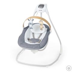 Baby Swing Ingenuity 