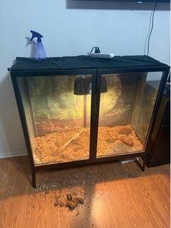 Reptile enclosure with lights