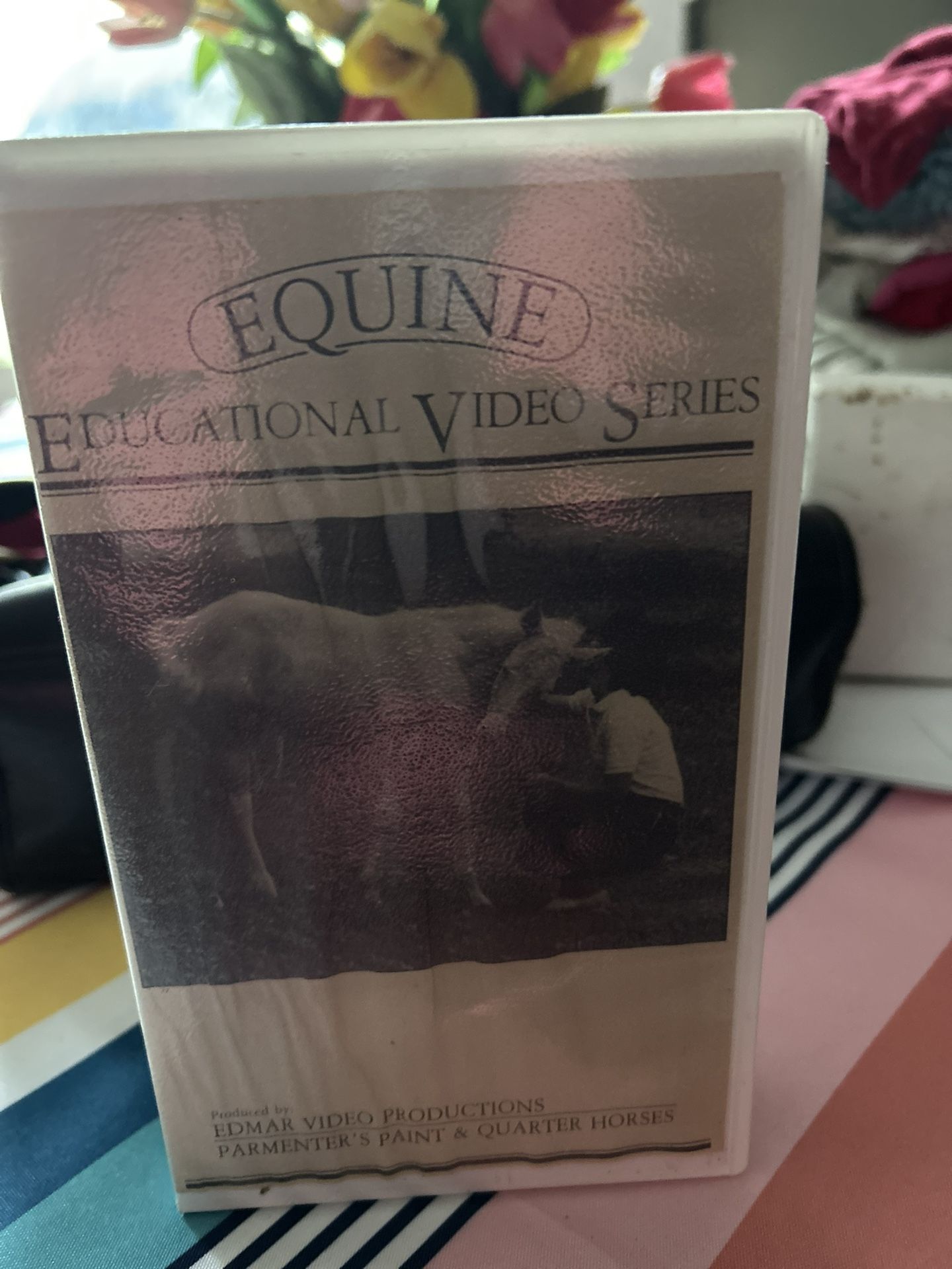 Equine Educational Video