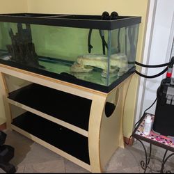 Empty Fish Tank And Stand 