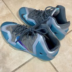 Labron James Nike Shoes