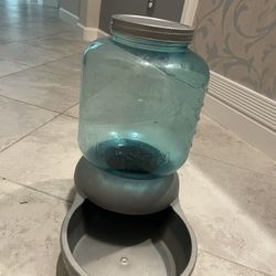 Dog Water Bowl