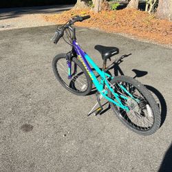 Nishiki Pueblo 24 Youth Mountain Bike