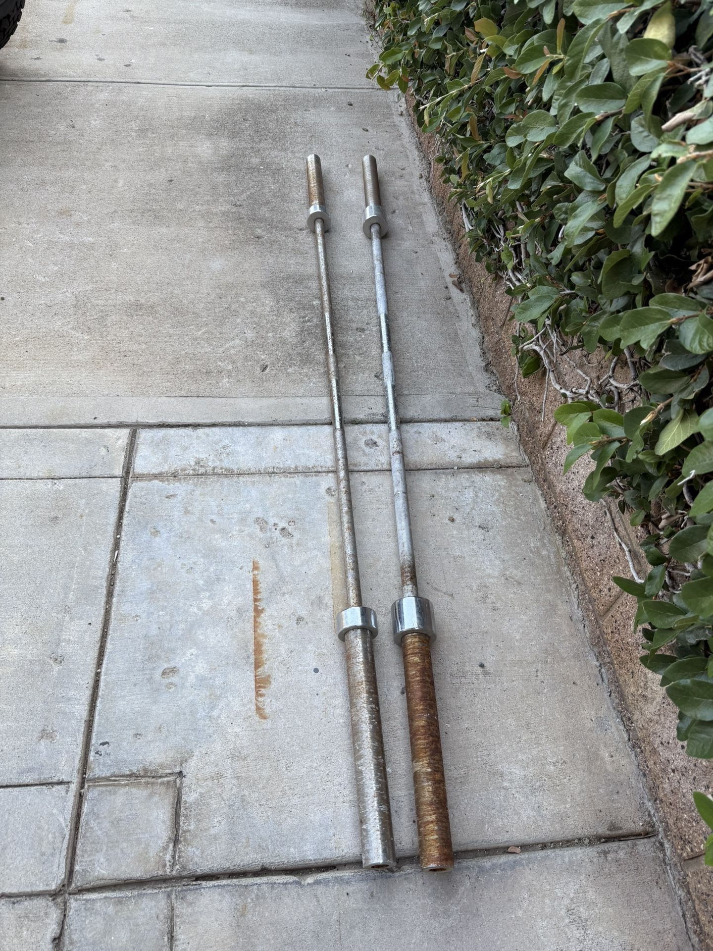 Barbell