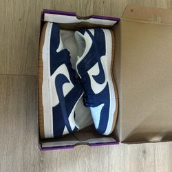 Nike Dunks Dodgers