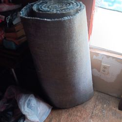 Blue Rug Brand New 20 Dollars 