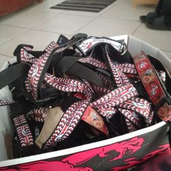 Dog Collars And Harness For Medium And Large Dogs $1 Each 