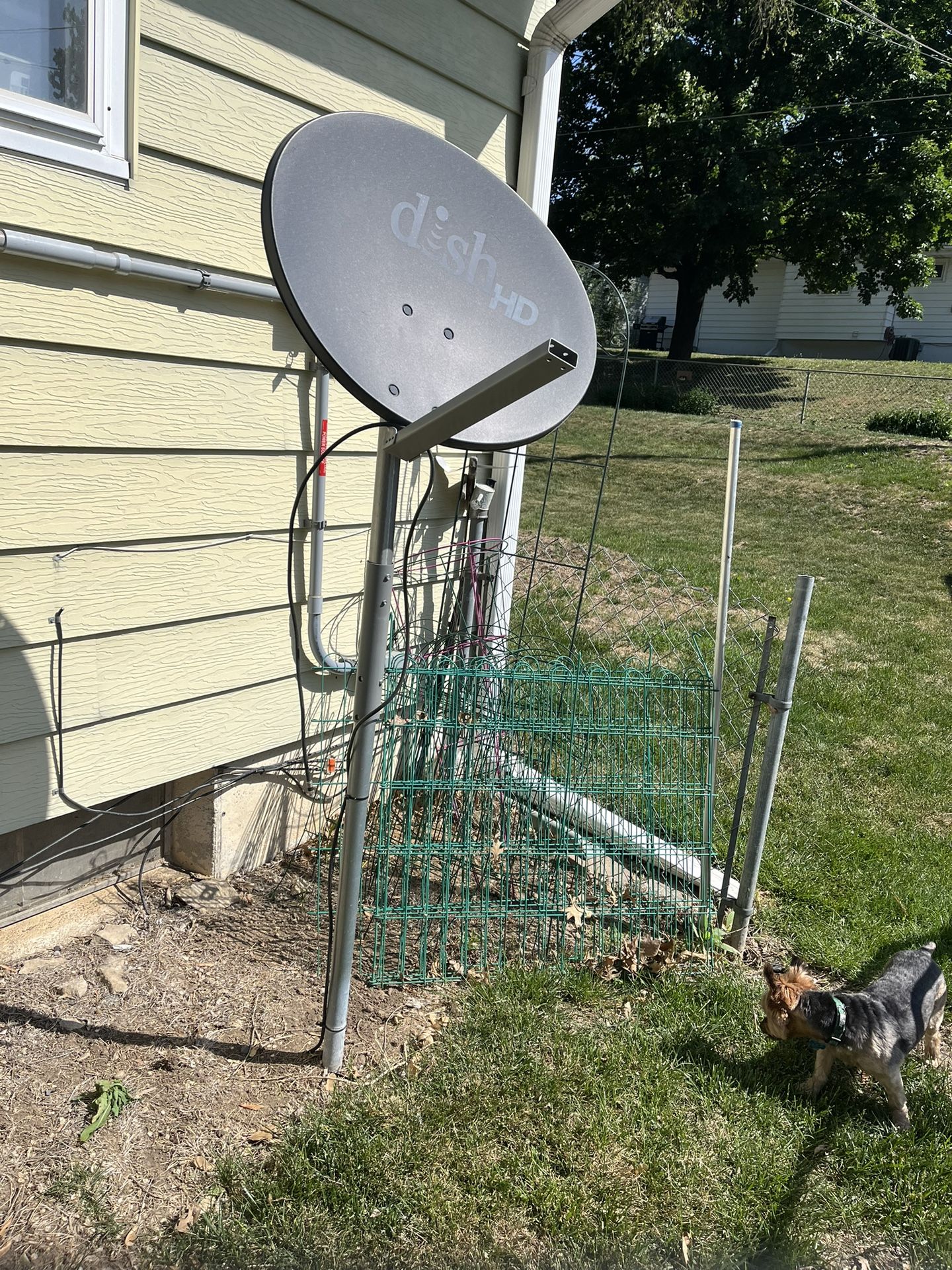 Pole Holding Cable Dish