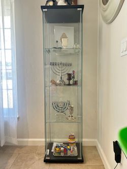 Tall Glass Display Cabinet with Shelves – 64”H x 16”W