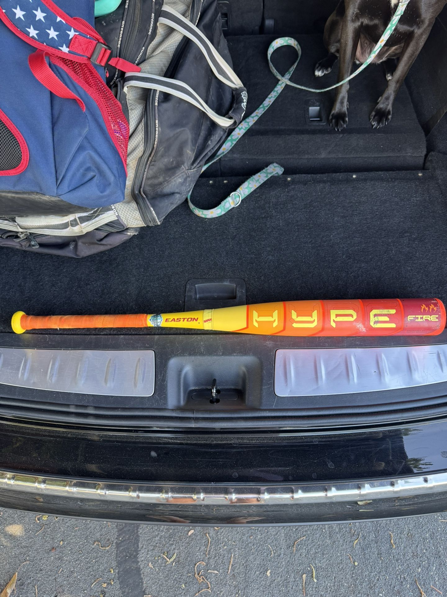 2025 Easton Hype Fire USA 31” -8