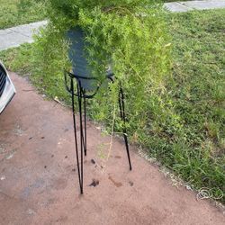 30 in. X 10’ Black Basic Steel Plant Stand