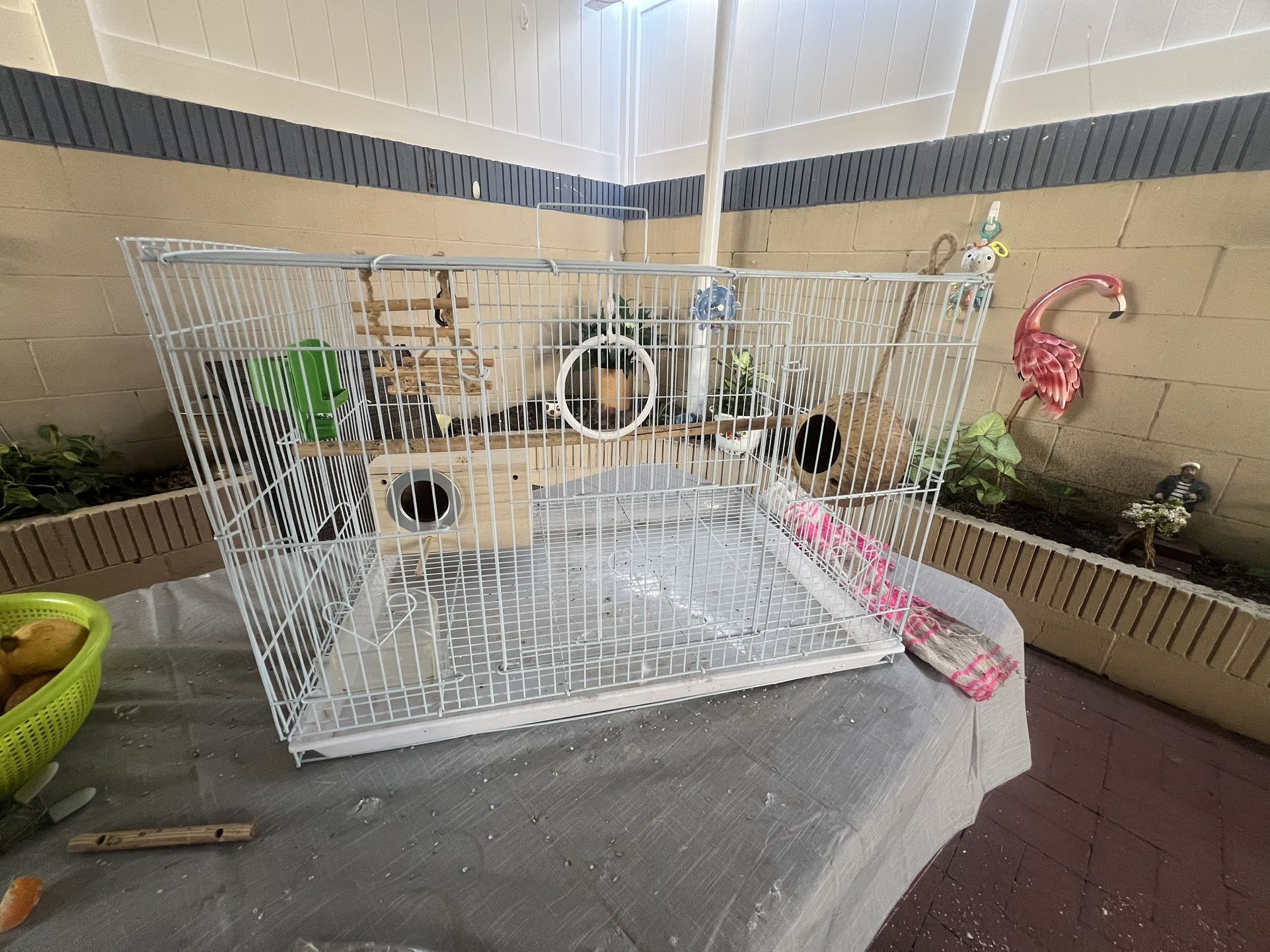 Bird Cage With New Accessories