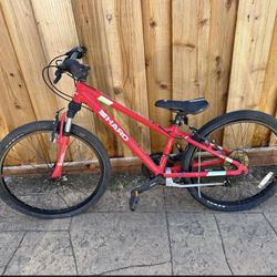 24” Haro Mountain Bike