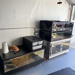 Reptile Enclosures
