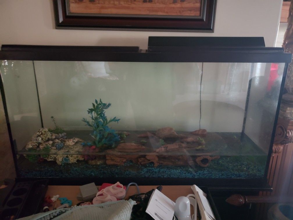 Fish Aquarium 80 Gallon