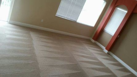 Carpet clenen call now