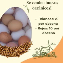 Huevos 