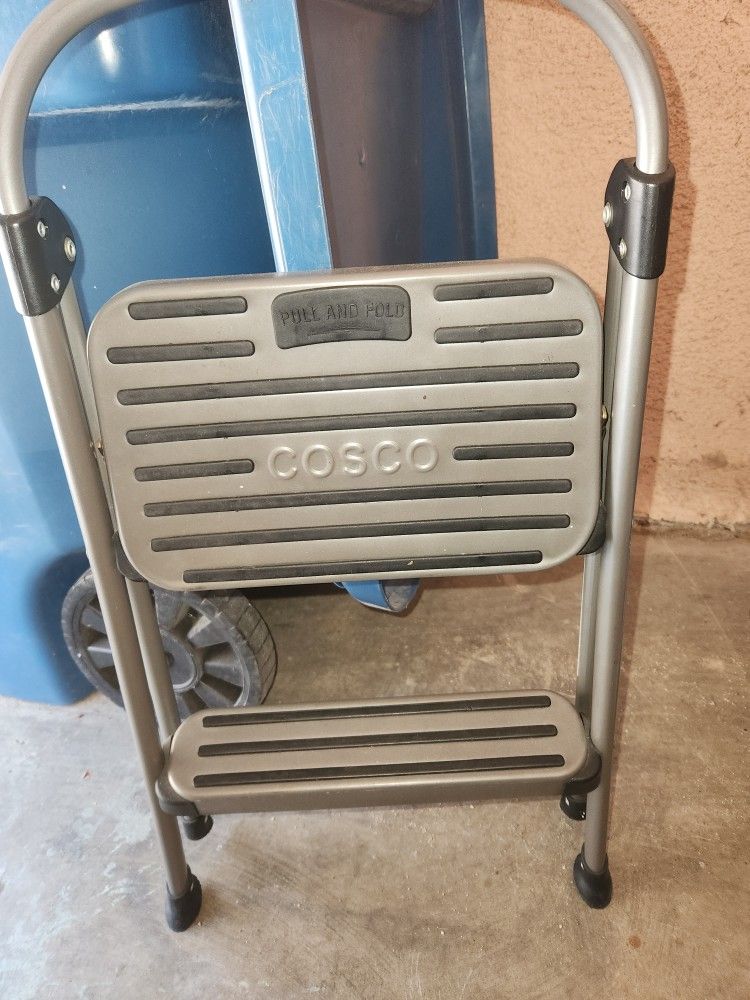 Cosco Step Ladder