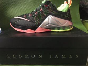 LEBRON XII LOW SZ 5Y