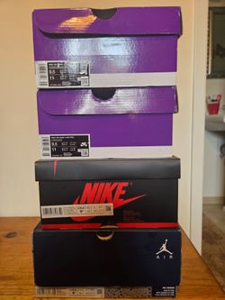 Jordan Nike Dunk SB