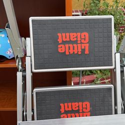Little Giant Step Ladder