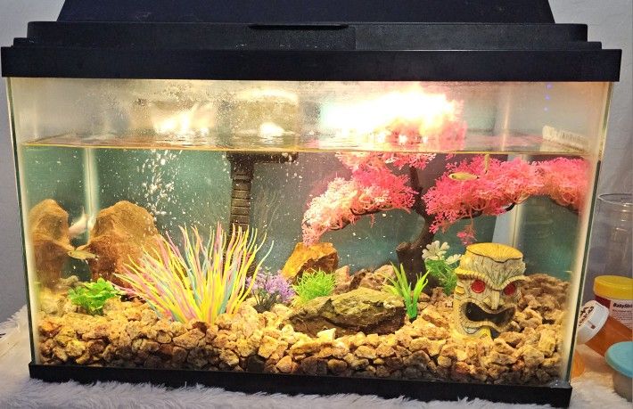 Fish Stuff