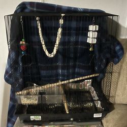 Bird Cage And Supplies