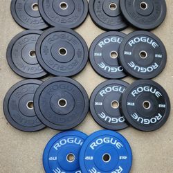 Rogue HG 2.0 Color Echo and Mil Spec Bumper Plates