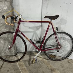 Vintage Trek 500 Series XL Steel Frame Road Bike