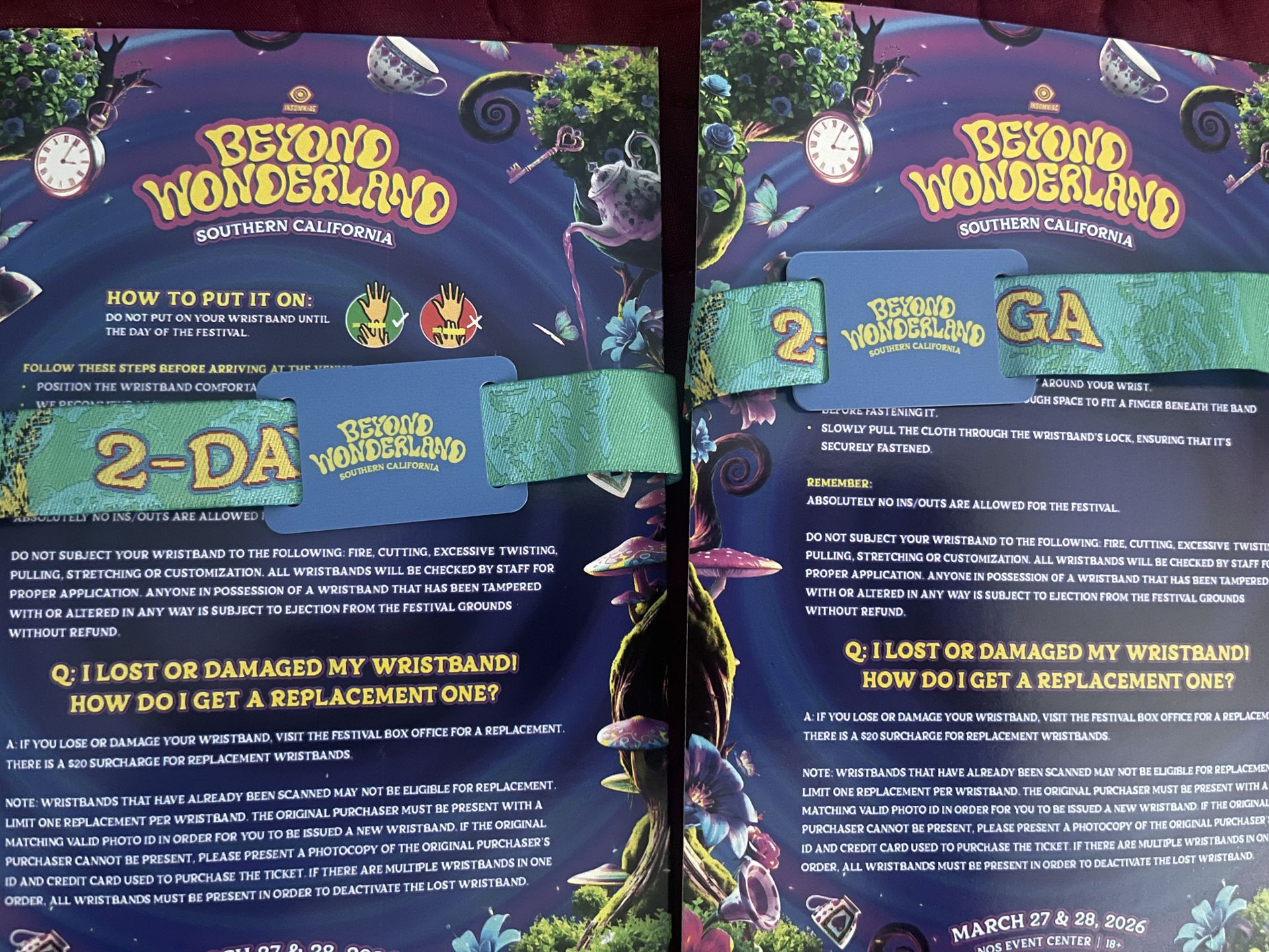 2 Day Beyond Wonderland pass