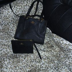 COACH TOTE @  WALLET