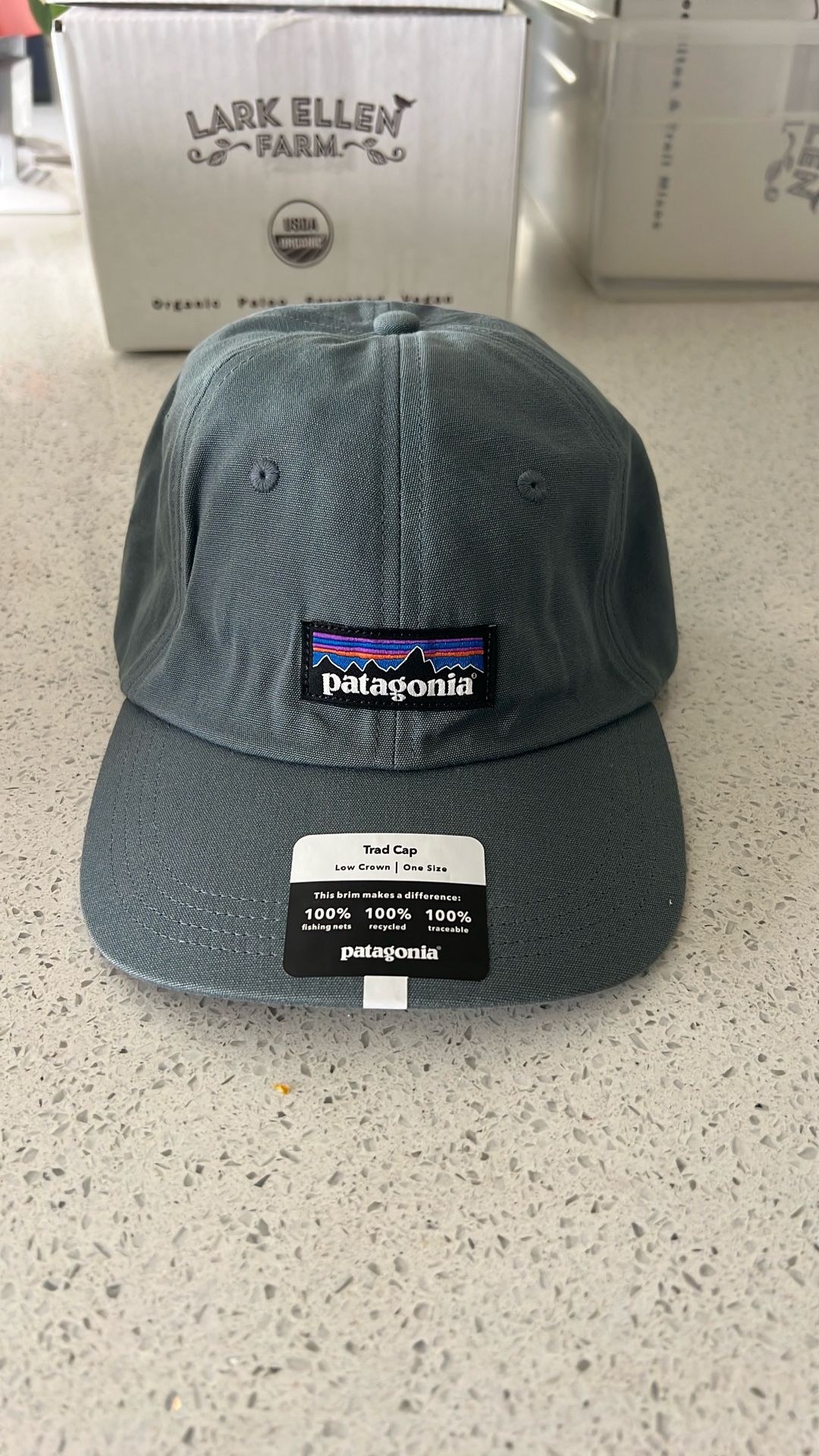 Patagonia Hat