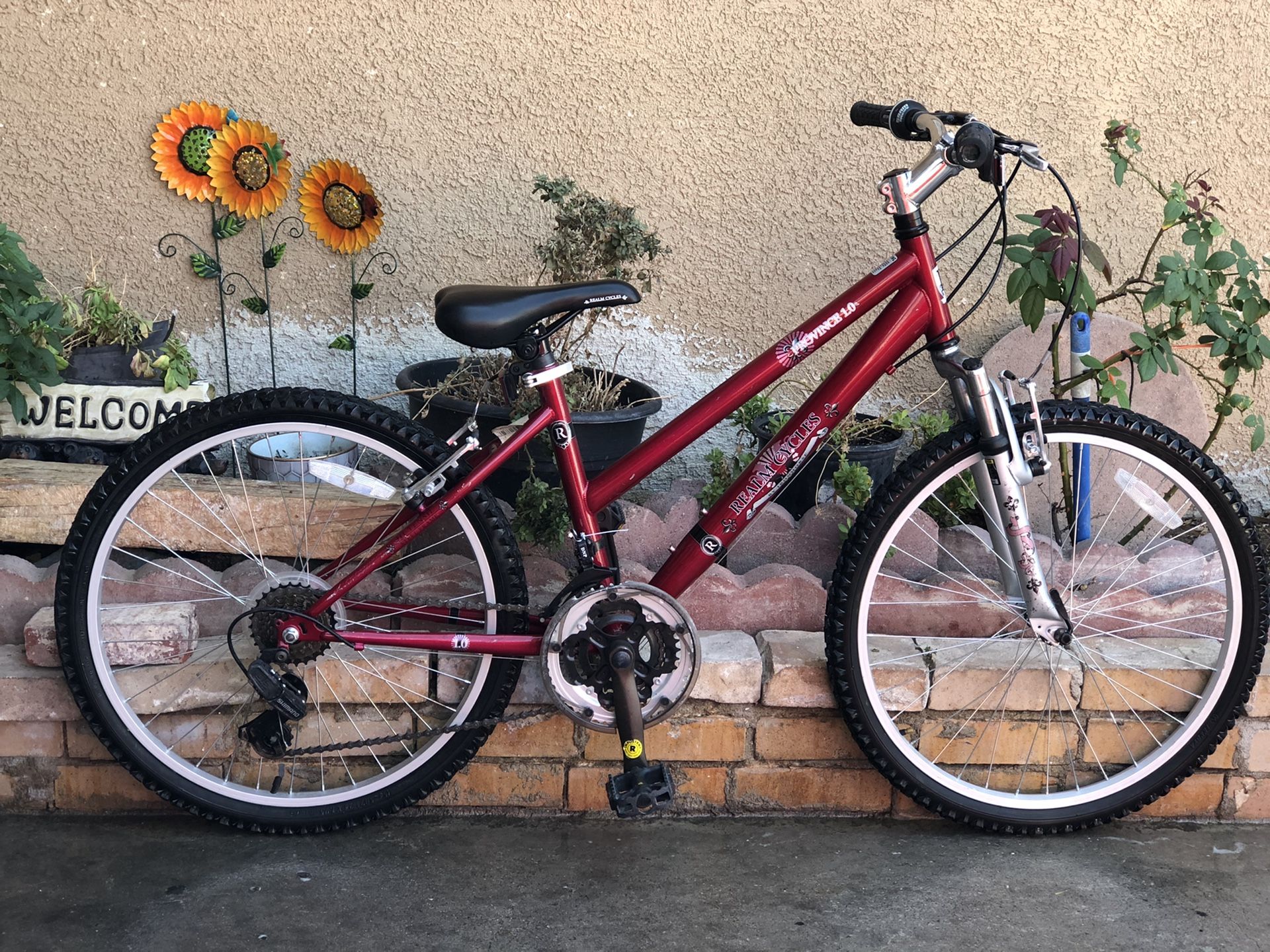 24” Mountain bike