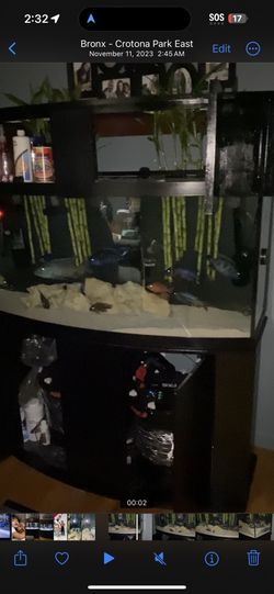 Open To Trade Fish Tank 72 Bow Front With Wood Cabinets And Wood Canapy